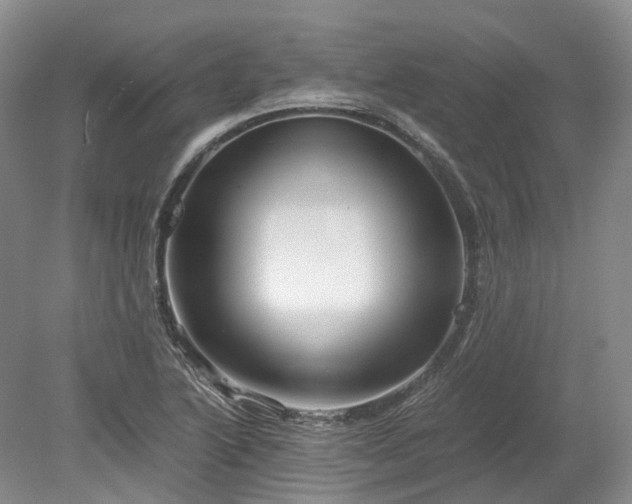 X0000078281222200611101125