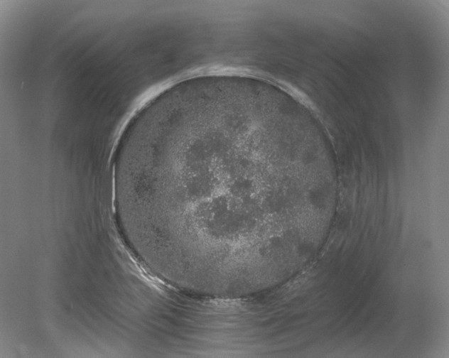 X0000078281223200611101125