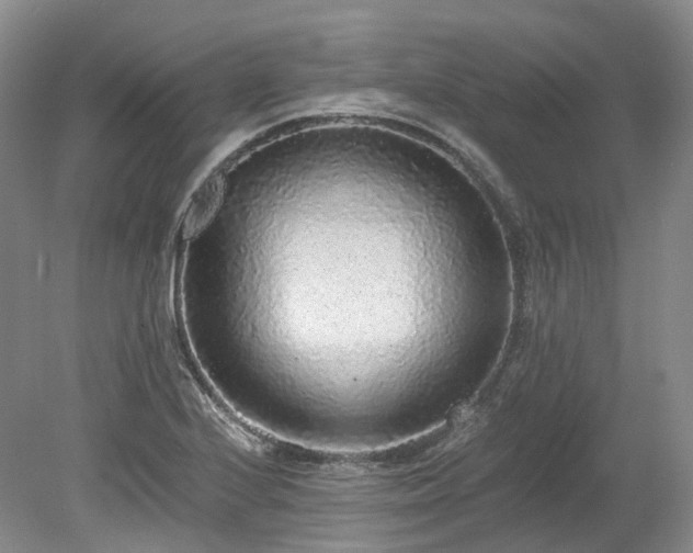 X0000078281224200611101125