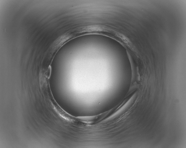 X0000078281225200611101125