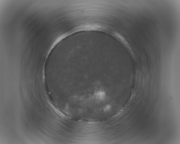 X0000078281226200611101125