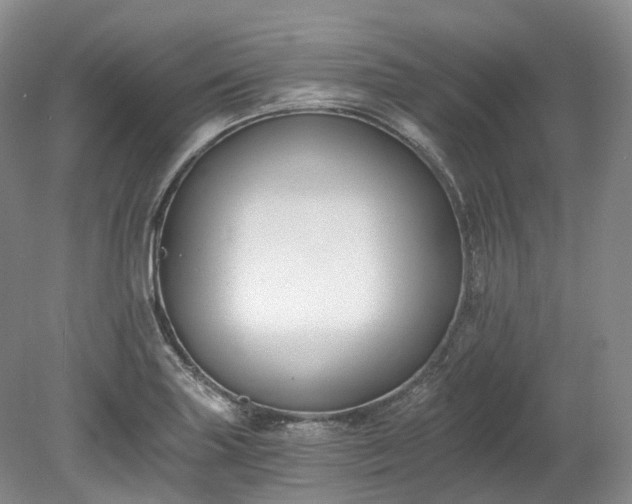 X0000078281227200611101125