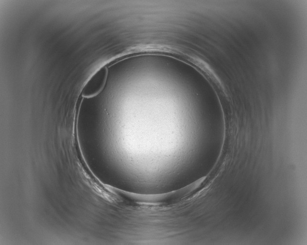 X0000078281228200611101125