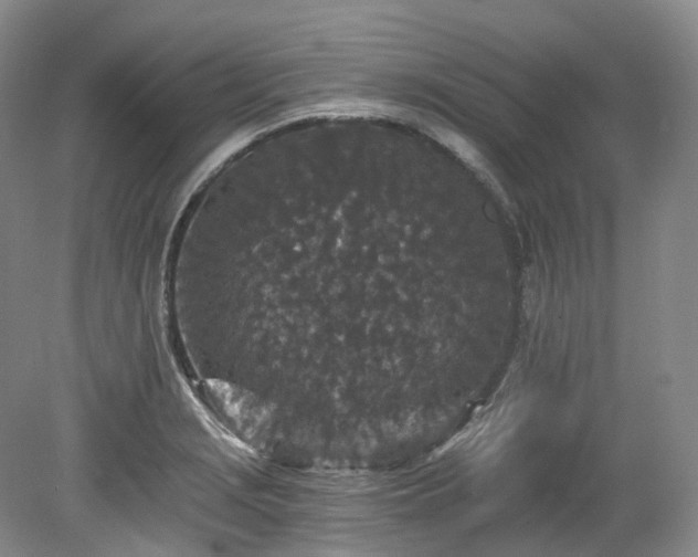 X0000078281229200611101125