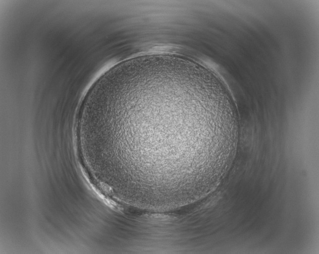 X0000078281235200611101125