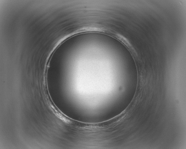 X0000078281236200611101125