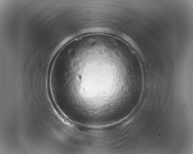 X0000078281237200611101125