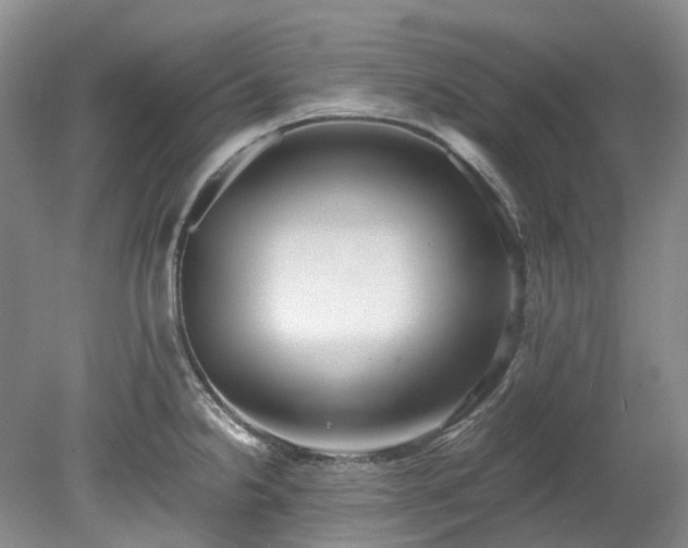 X0000078281238200611101125