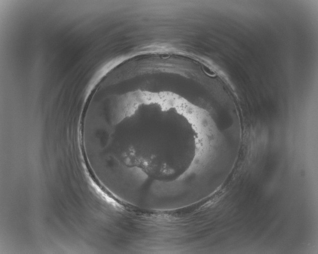 X0000078281239200611101125