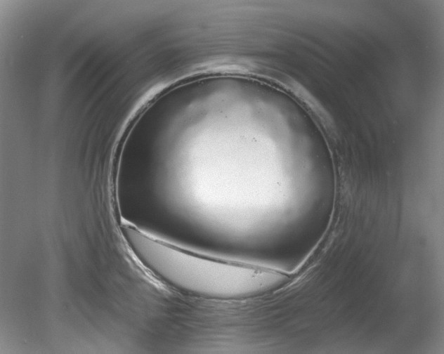 X0000078281240200611101125