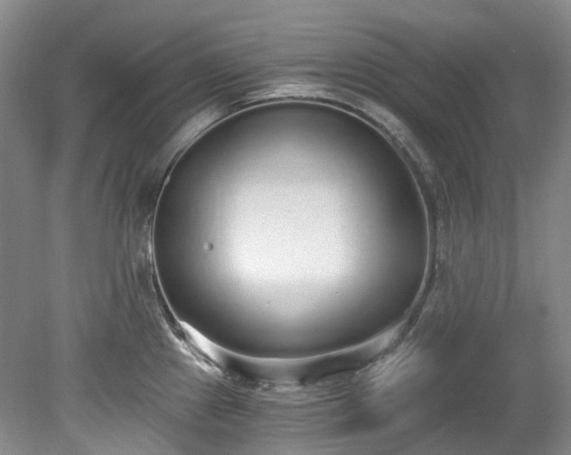 X0000078281241200611101125