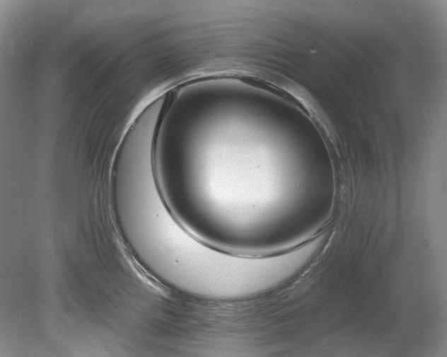 X0000078281242200611101125