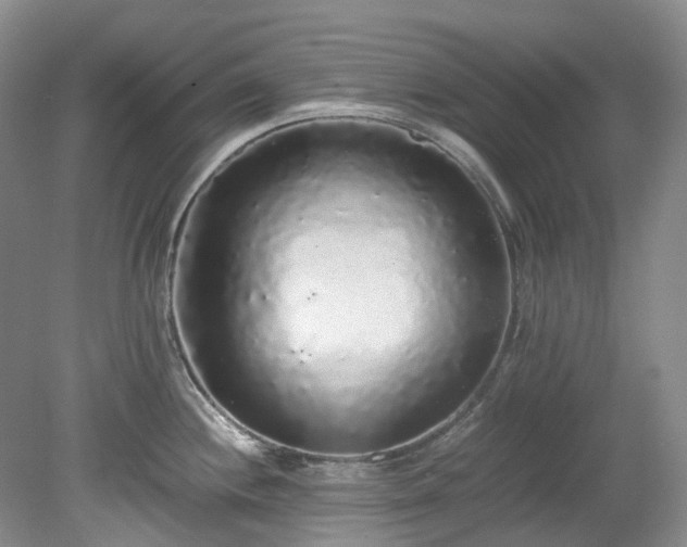 X0000078281244200611101125