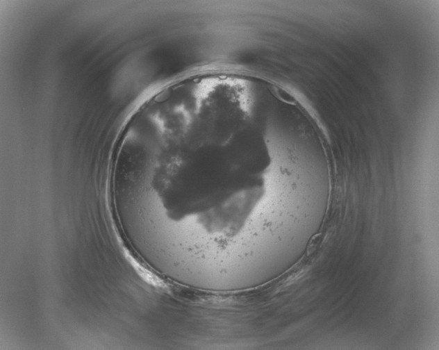 X0000078281245200611101125