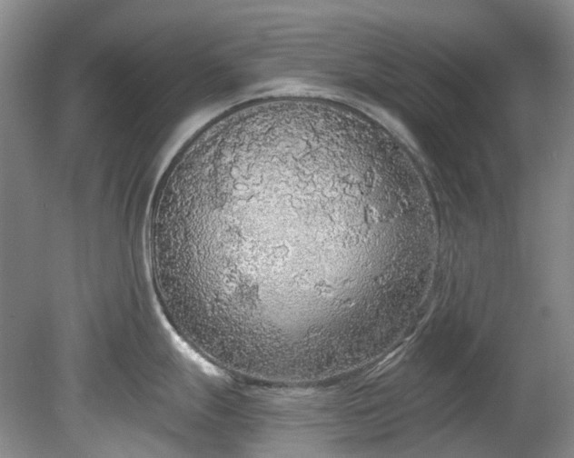 X0000078281247200611101125