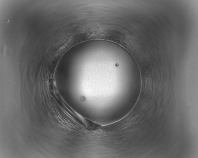 X0000078281250200611101124