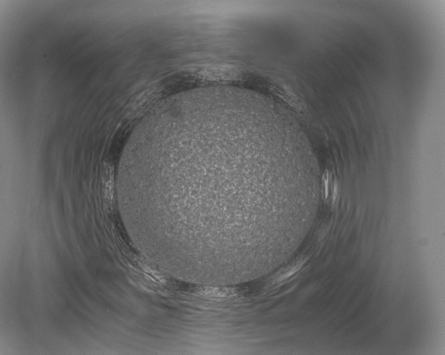 X0000078281251200611101124