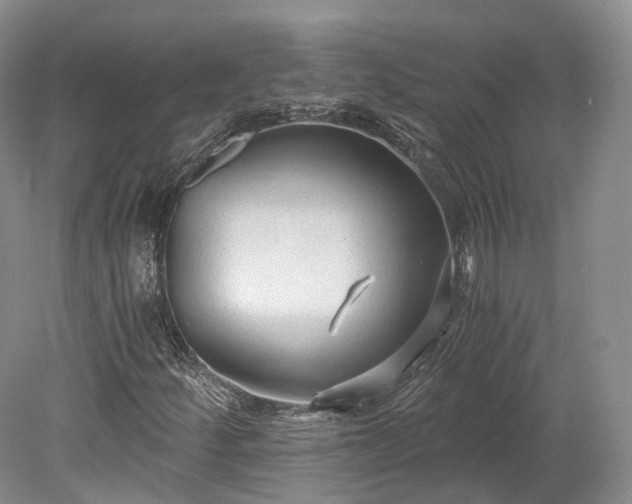 X0000078281252200611101124