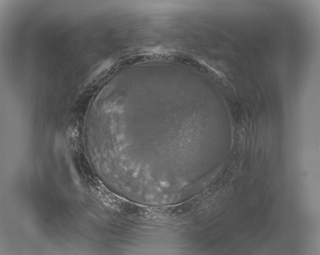 X0000078281254200611101124