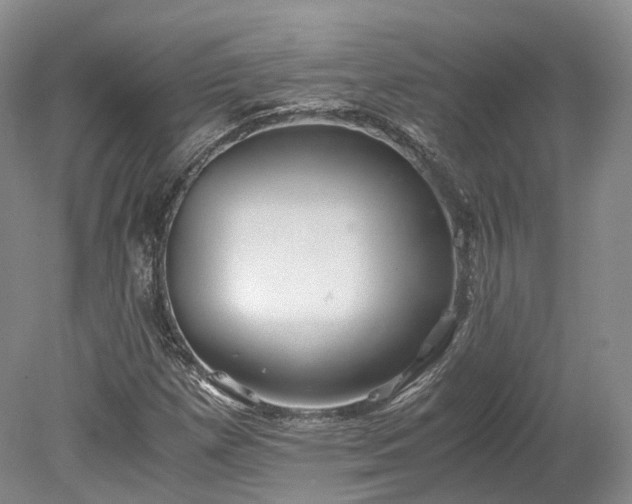 X0000078281257200611101124