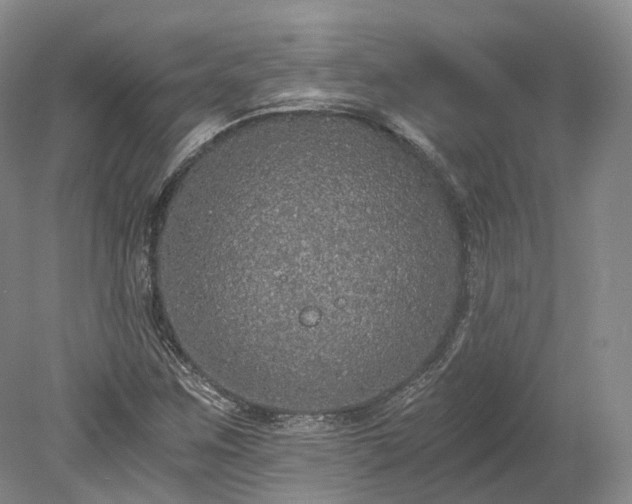 X0000078281259200611101124