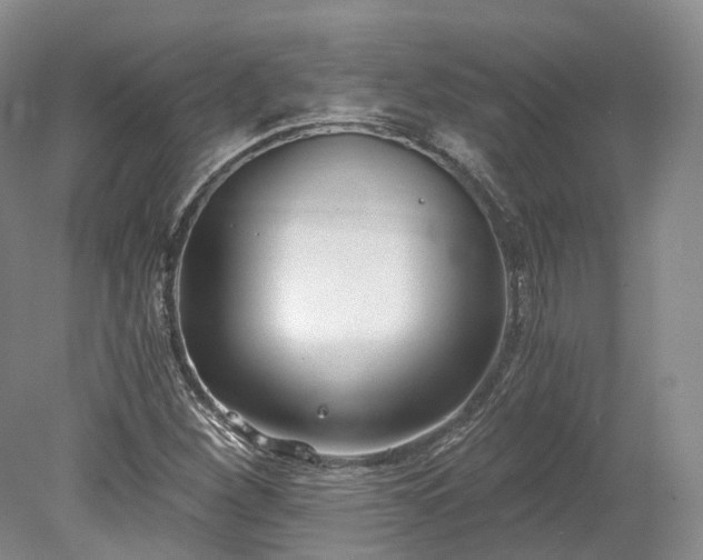 X0000078281260200611101124