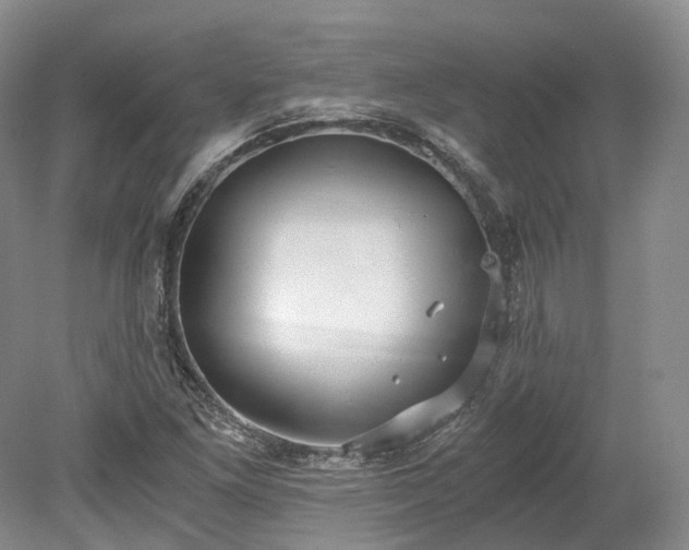 X0000078281261200611101124