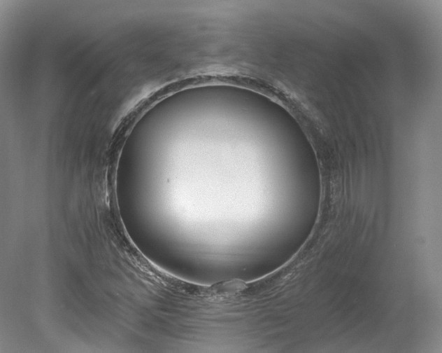 X0000078281262200611101124