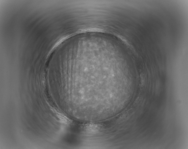 X0000078281266200611101124