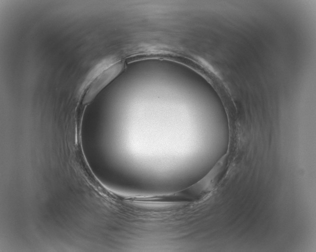 X0000078281269200611101124