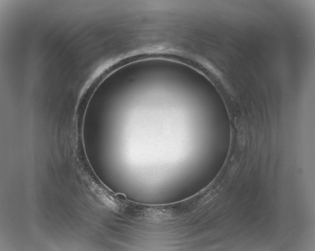 X0000078281270200611101124