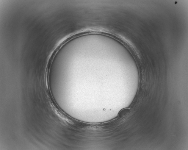 X0000078281272200611101124