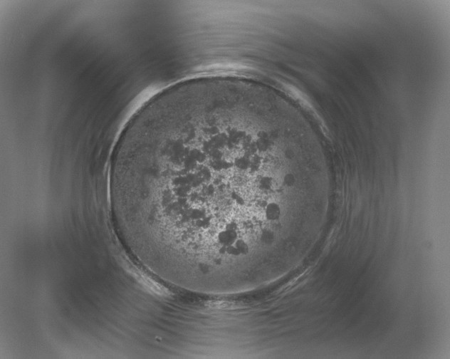 X0000078281275200611101124