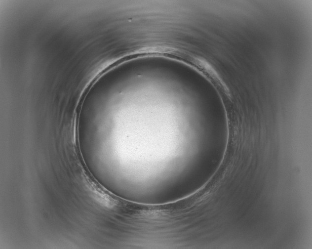 X0000078281276200611101124