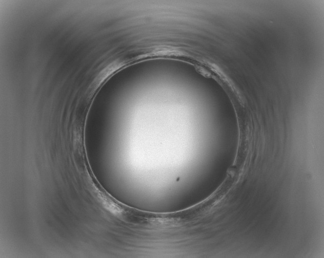 X0000078281281200611101124