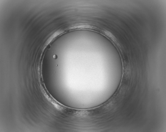 X0000078281282200611101124