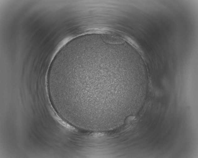 X0000078281283200611101124