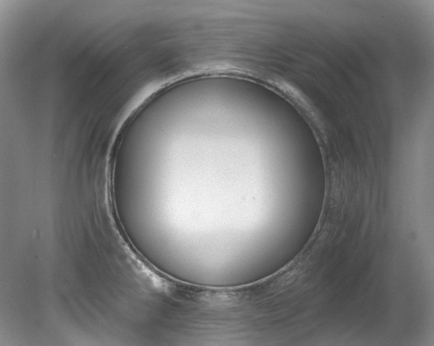 X0000078281286200611101124