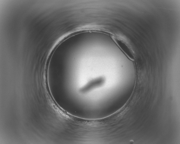 X0000078281288200611101124