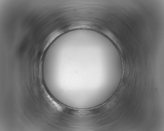 X0000078281290200611101124