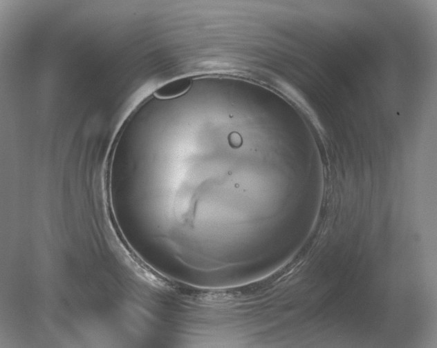 X0000078281291200611101124