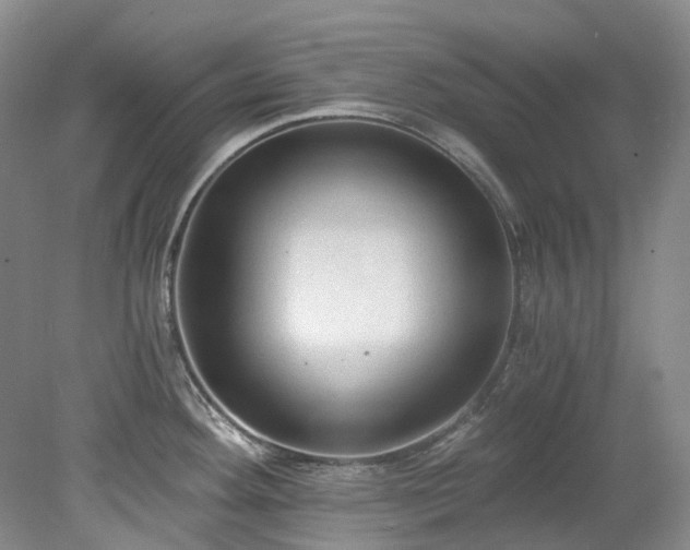 X0000078281292200611101124