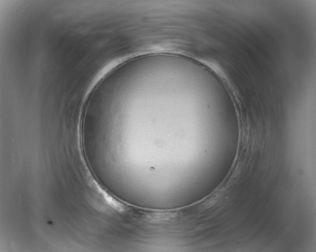 X0000078281294200611101124