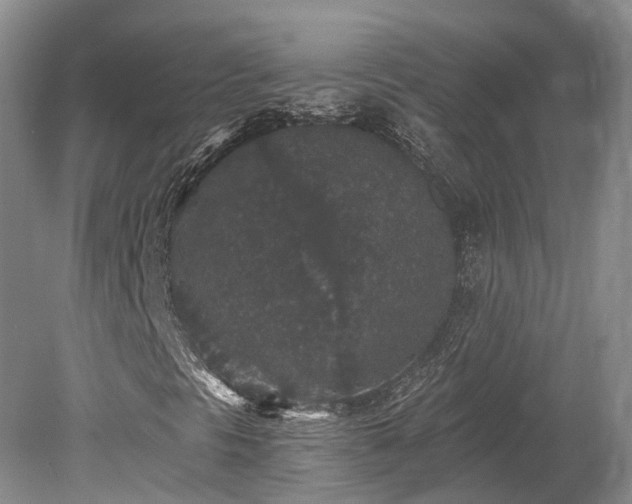 X0000078281297200611101123