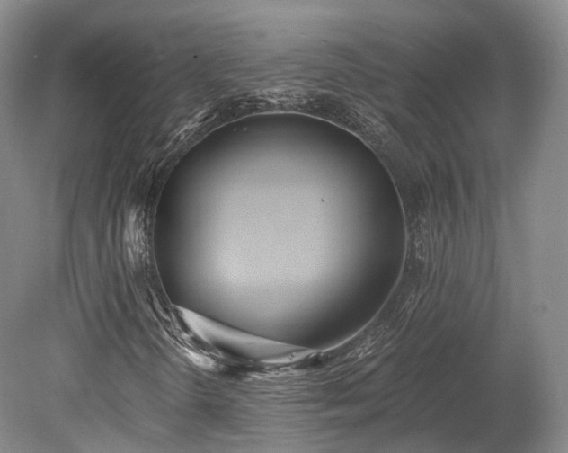 X0000078281298200611101123