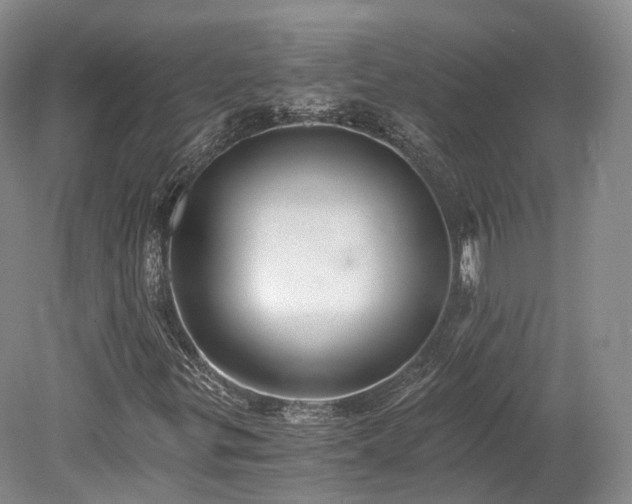 X0000078281299200611101123