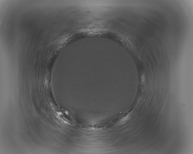 X0000078281300200611101123