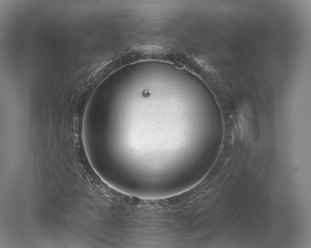 X0000078281301200611101123