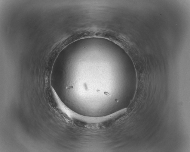 X0000078281302200611101123