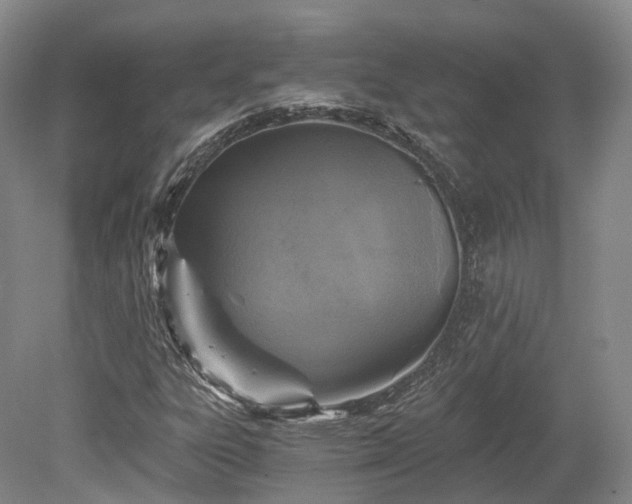 X0000078281303200611101123